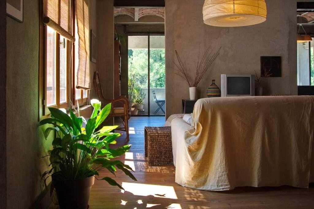 Sleep & Stay Artistico Loft Sant Daniel Girona Zewnętrze zdjęcie