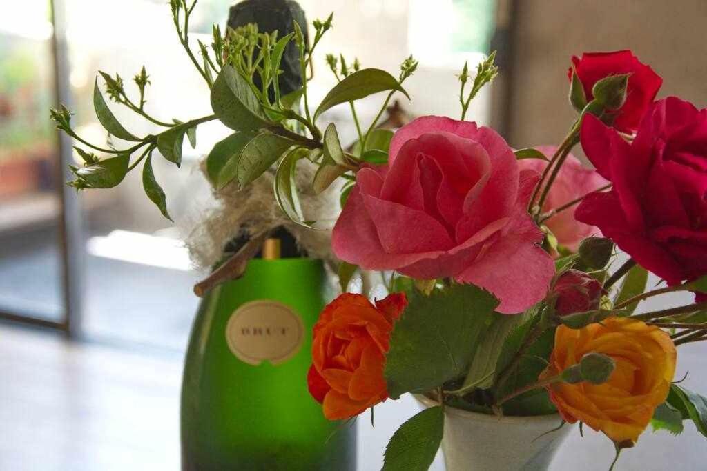 Sleep & Stay Artistico Loft Sant Daniel Girona Zewnętrze zdjęcie